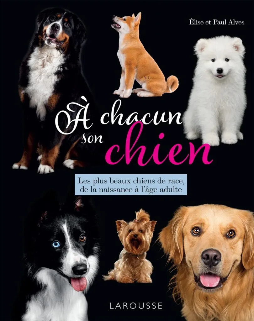 Couverture du livre À Chacun son Chien